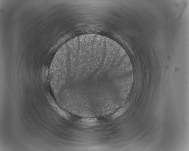 X0000085040480200704021258