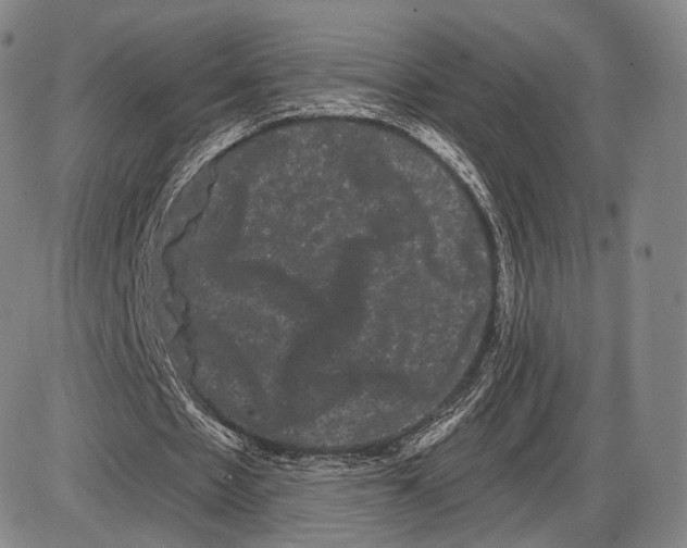 X0000085040481200704021257
