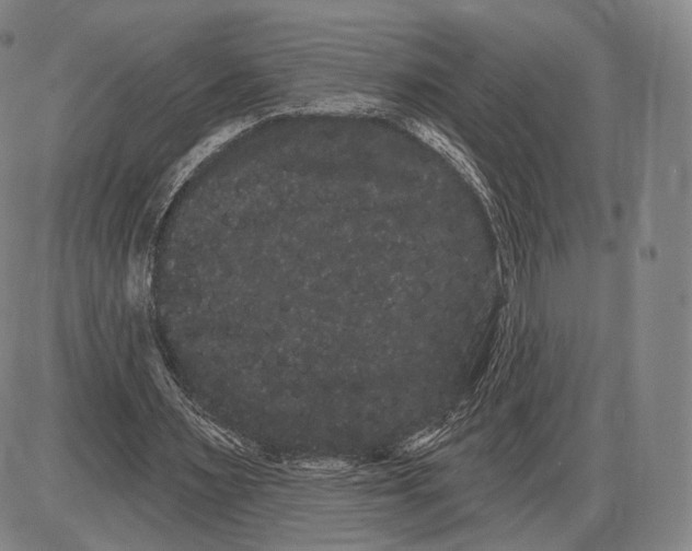 X0000085040483200704021257
