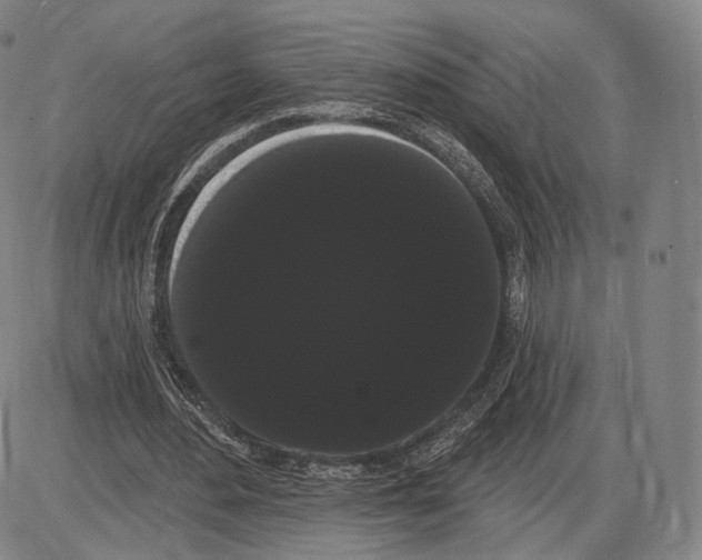 X0000085040484200704021257