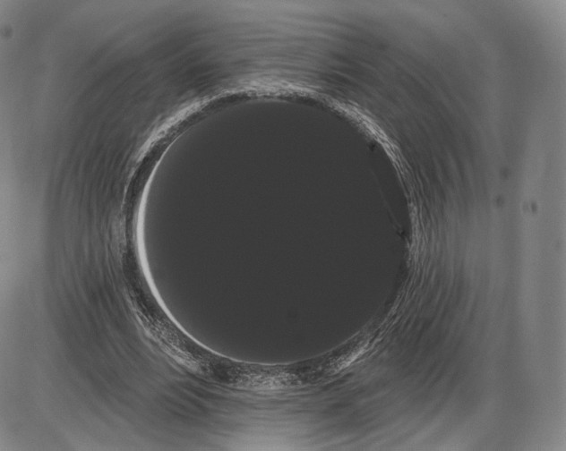 X0000085040488200704021257