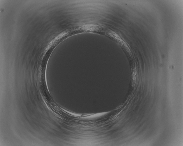 X0000085040492200704021257