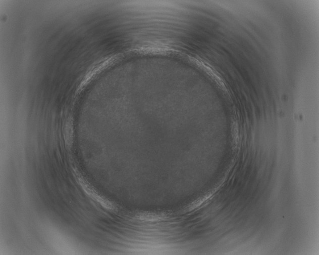 X0000085040494200704021257