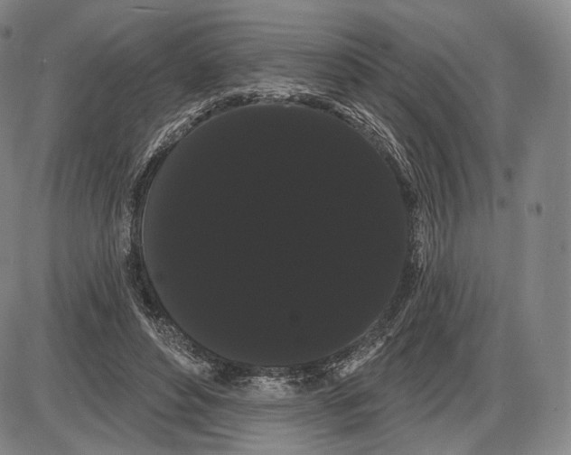 X0000085040496200704021257