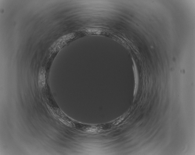 X0000085040504200704021257