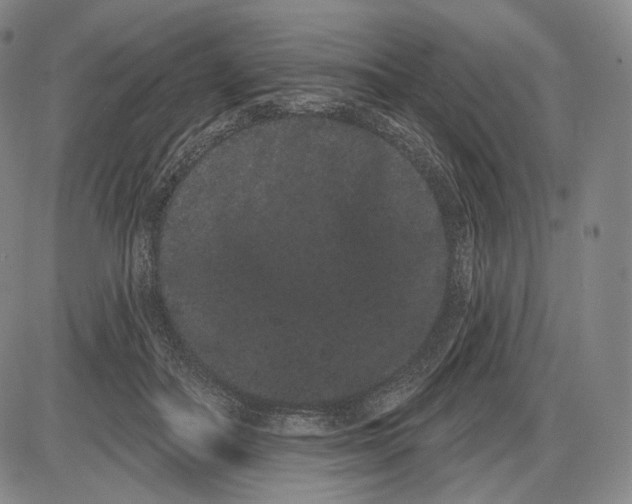 X0000085040506200704021257