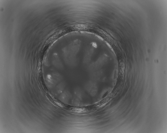 X0000085040507200704021257