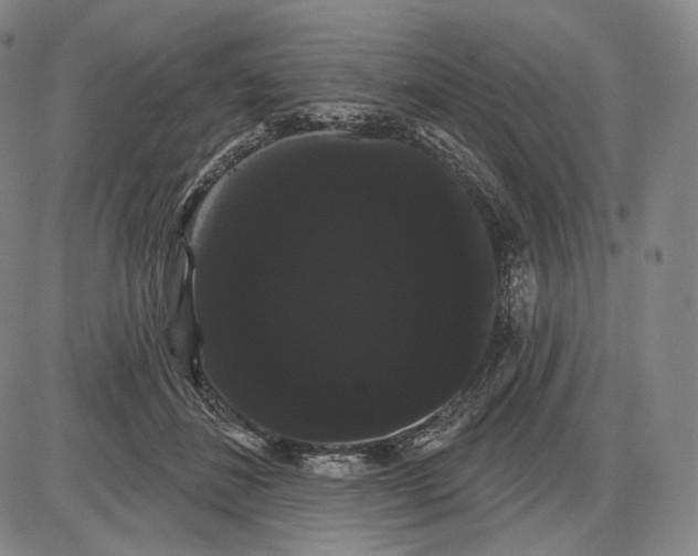 X0000085040508200704021257