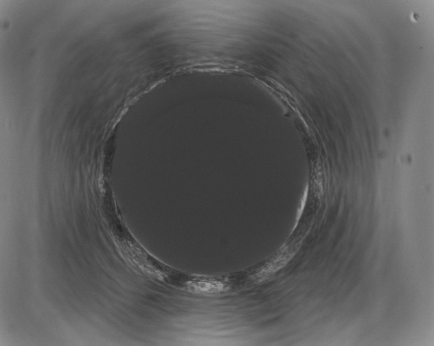 X0000085040512200704021257