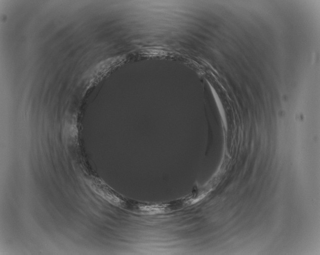 X0000085040516200704021257