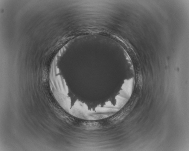 X0000085040517200704021257