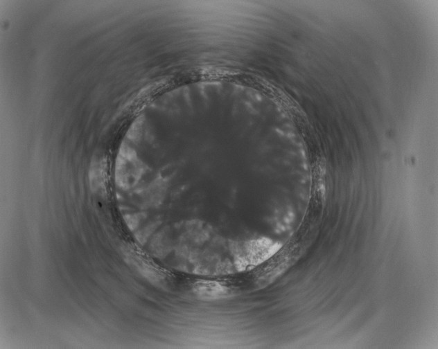 X0000085040519200704021257