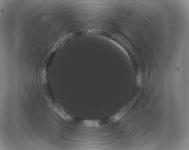 X0000085040520200704021257