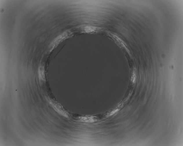 X0000085040524200704021257