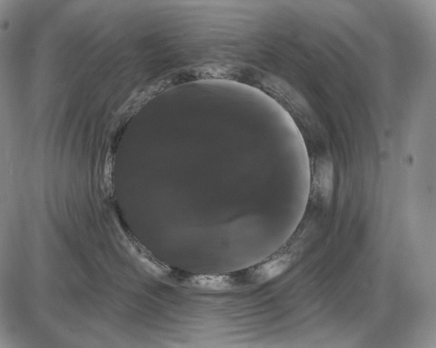 X0000085040526200704021257