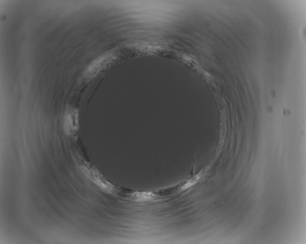 X0000085040528200704021257