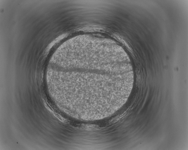 X0000085040539200704021256