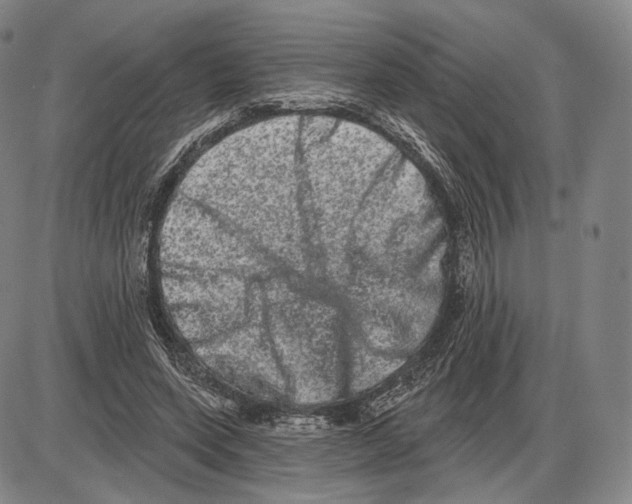 X0000085040543200704021256