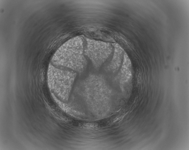 X0000085040546200704021256