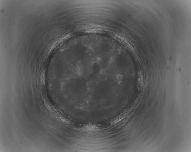 X0000085040547200704021256