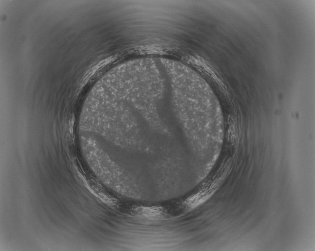 X0000085040548200704021256