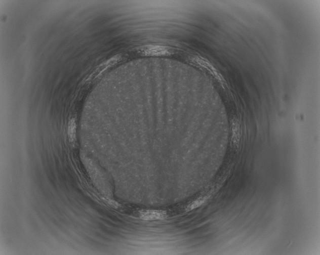 X0000085040549200704021256