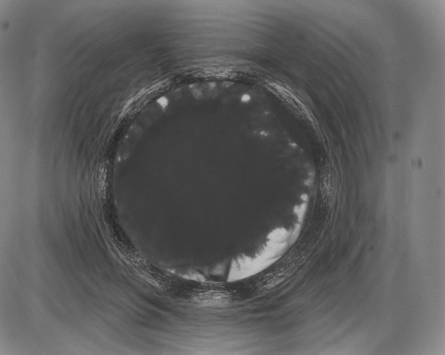 X0000085040551200704021256