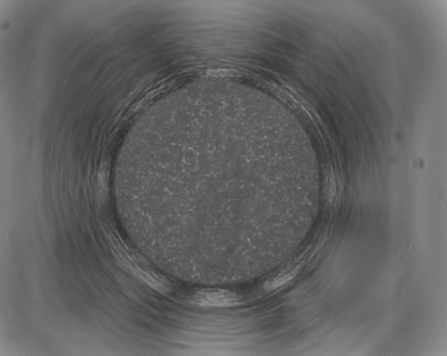 X0000085040557200704021256