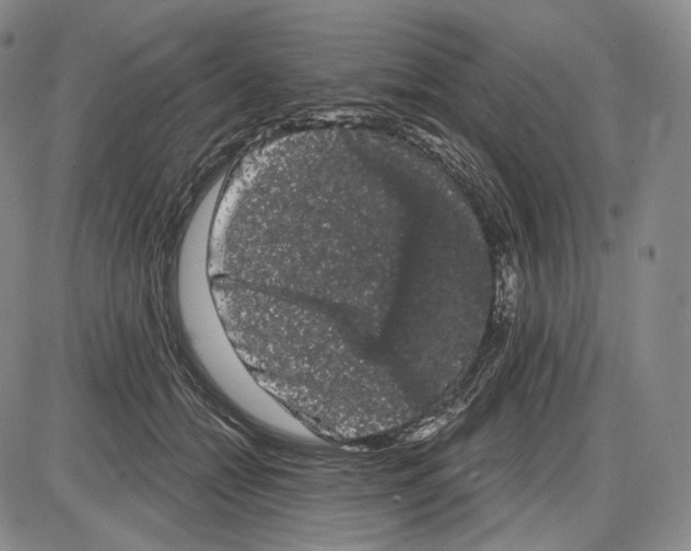 X0000085040558200704021256