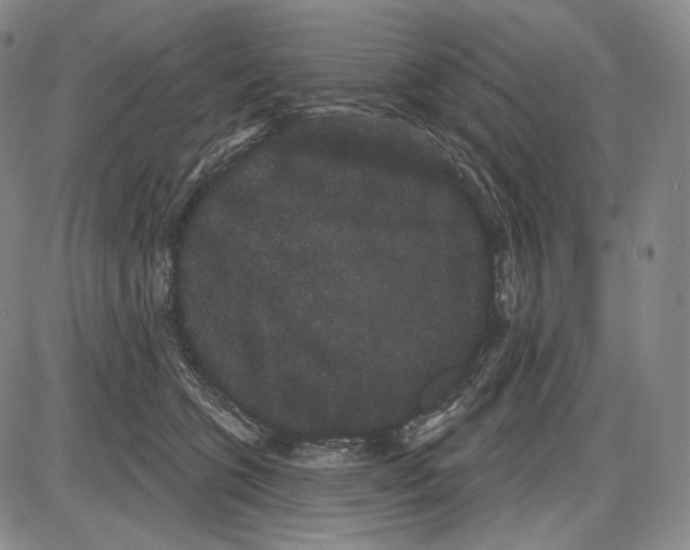 X0000085040563200704021256