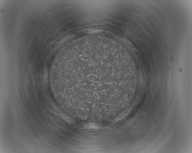 X0000085040565200704021256