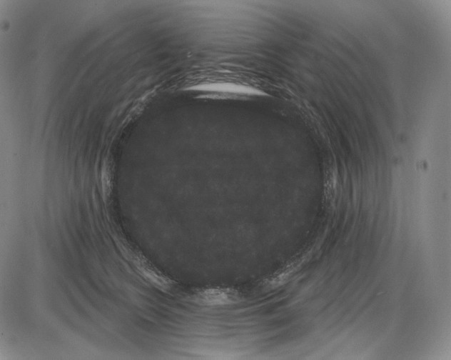 X0000085040566200704021256