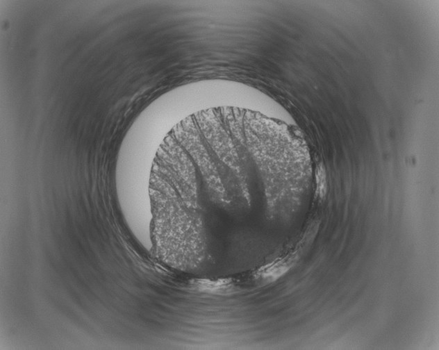 X0000085040570200704021257