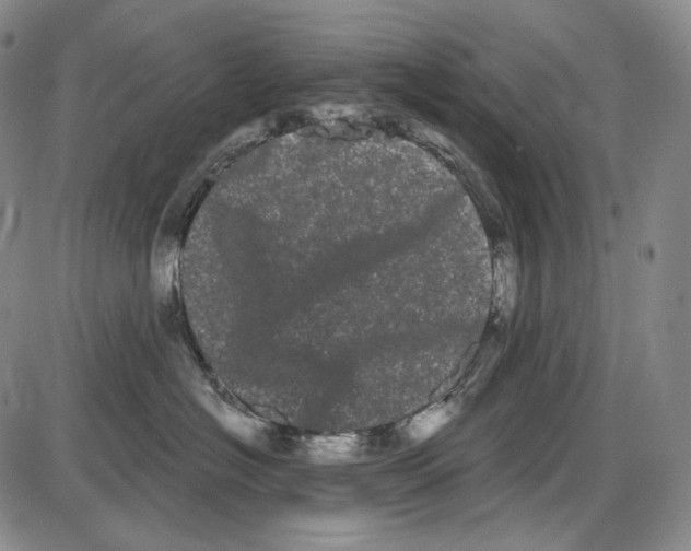 X0000085040574200704021257