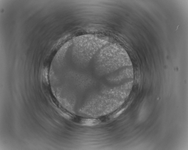 X0000085040575200704021257