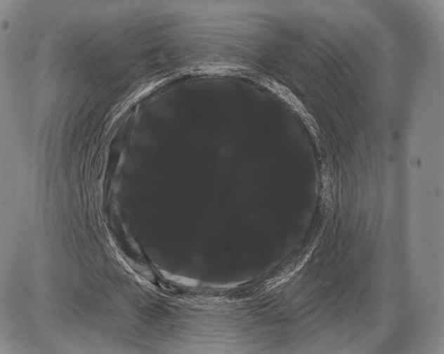 X0000085040577200704021256