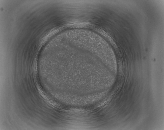 X0000085040582200704021256