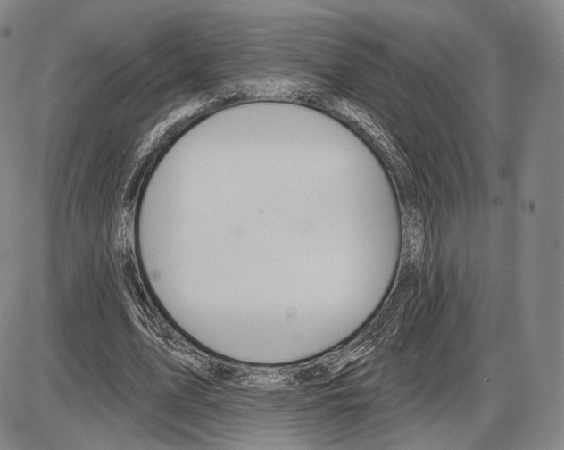X0000085040583200704021256