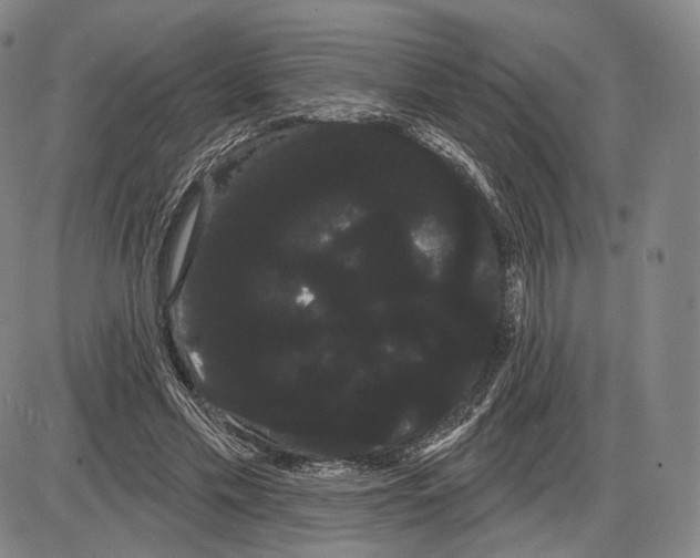 X0000085040589200704021256