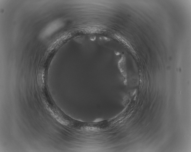 X0000085040590200704021256