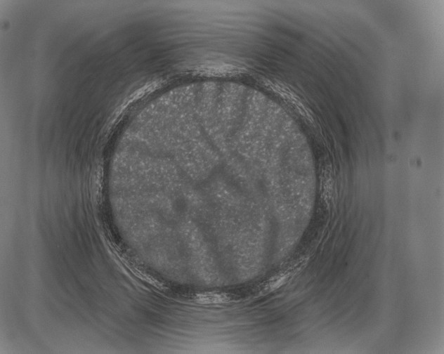 X0000085040591200704021256