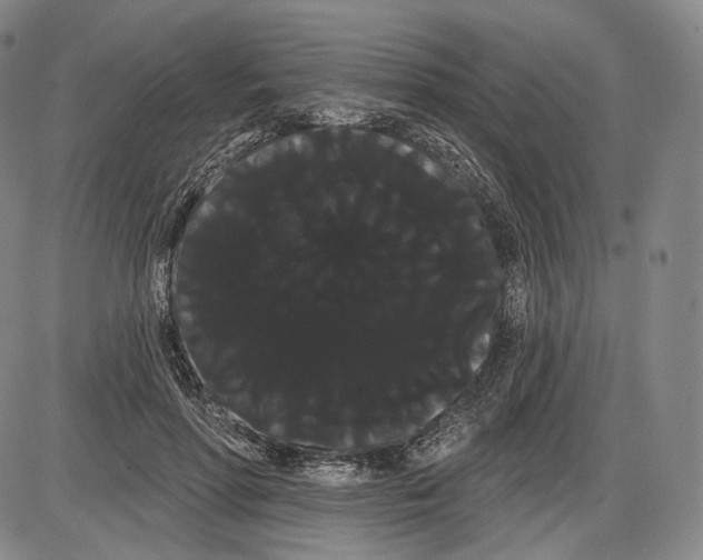 X0000085040598200704021256