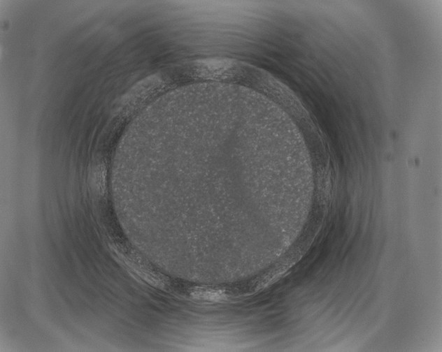 X0000085040602200704021255
