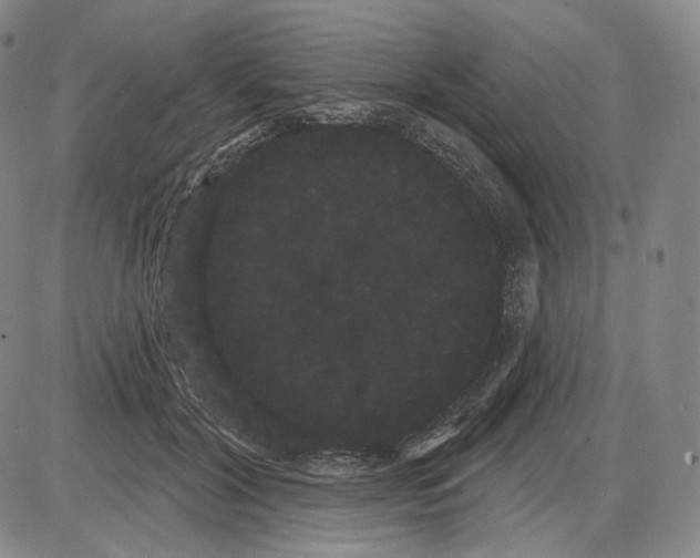 X0000085040604200704021255