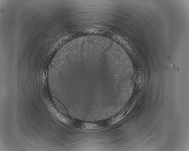 X0000085040605200704021255