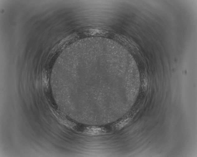 X0000085040607200704021255