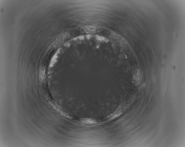 X0000085040610200704021255