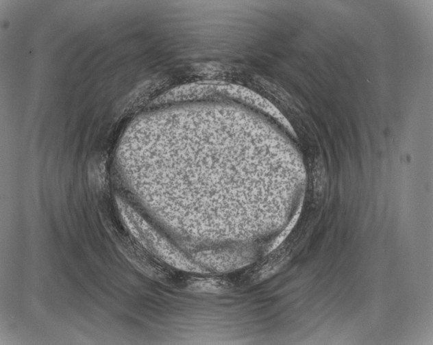 X0000085040611200704021255