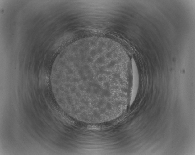 X0000085040613200704021255