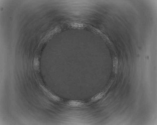 X0000085040614200704021255